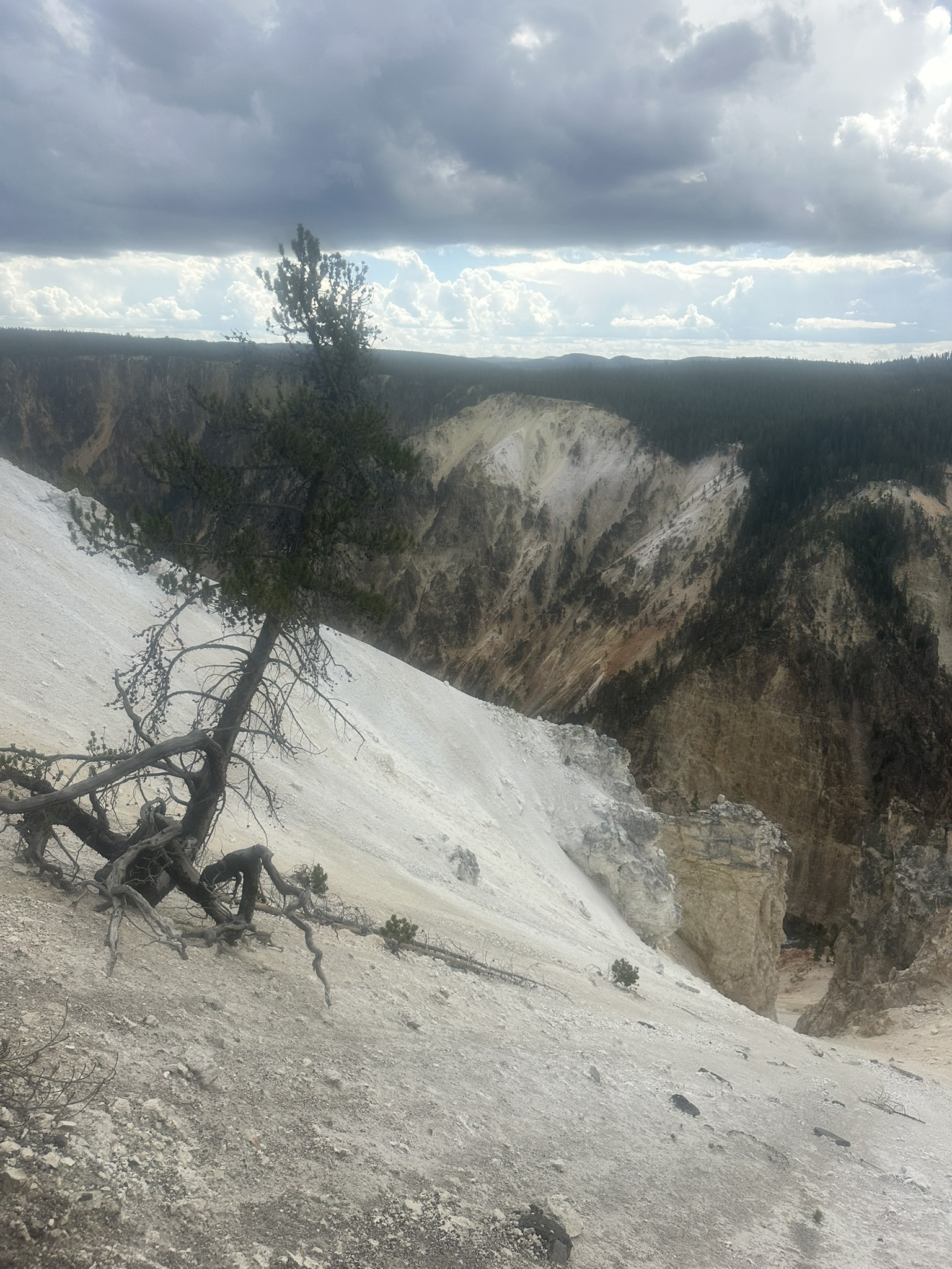 Yellowstone And Grand Teton National Parks - Image 603